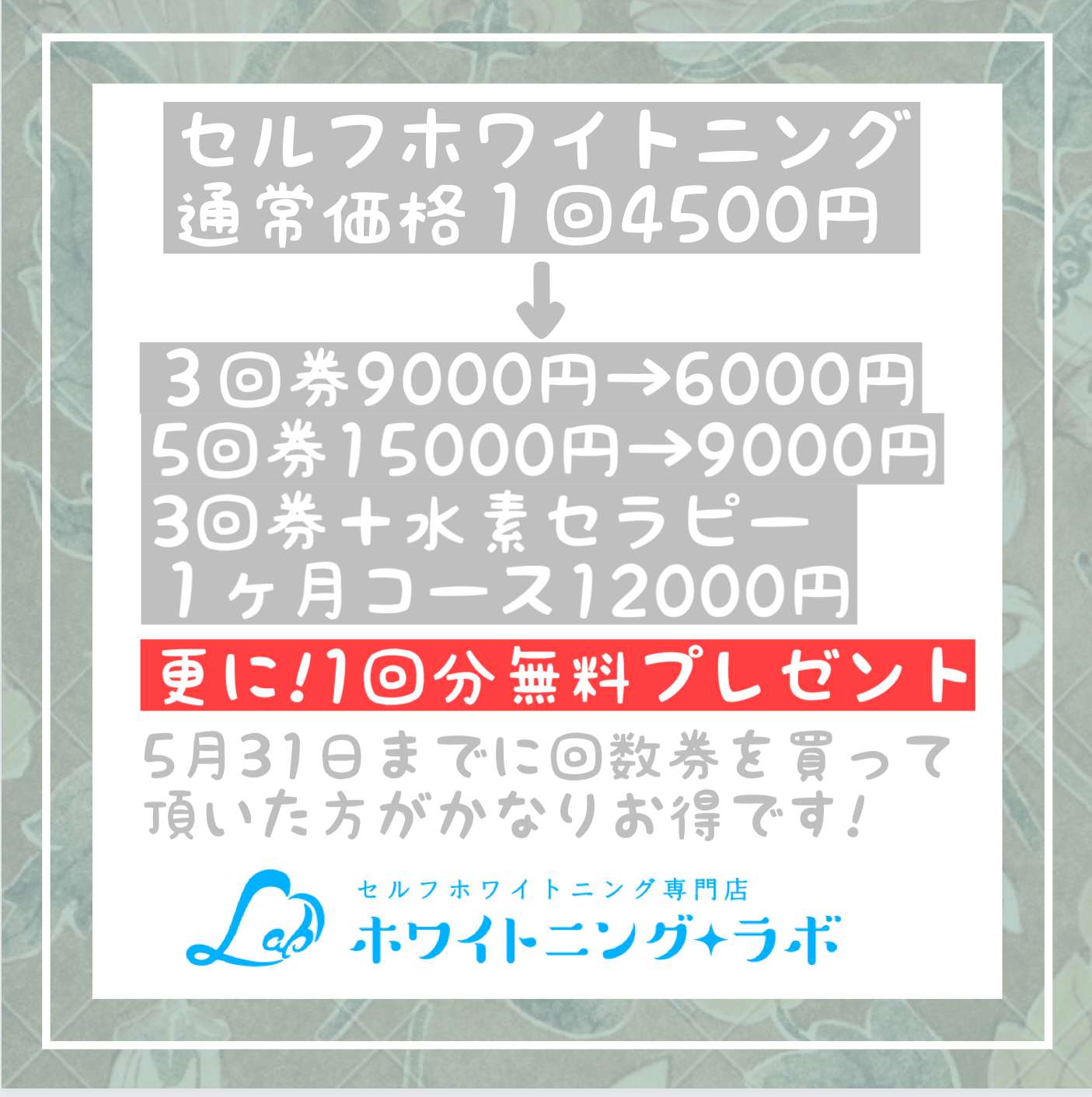 5月31日までののキャンペーン